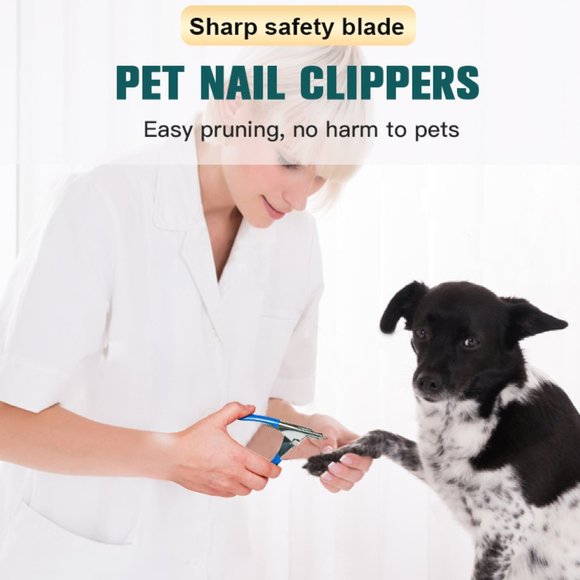 Pet Grooming Kit 8-piece Brushes, clippers, scissors etc. for dogs and cats - Picture 9 of 11